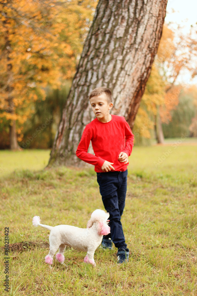 A boy is playing in an autumn park on the grass in a red sweater A boy is playing in an autumn park on the grass in a red sweater