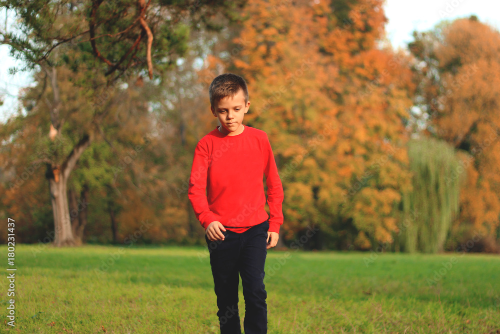 A boy is playing in an autumn park on the grass in a red sweater A boy is playing in an autumn park on the grass in a red sweater