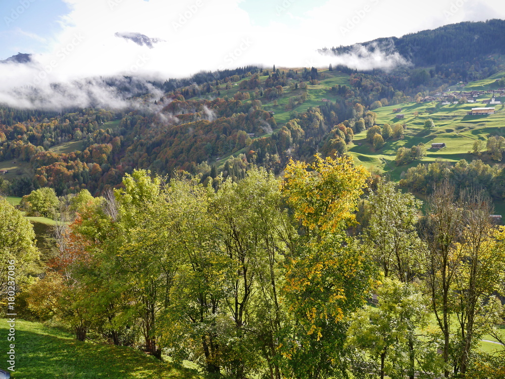 Schweiz Saas Prättigau Tal Landquart 6 Schweiz Saas Prättigau Tal Landquart 6
