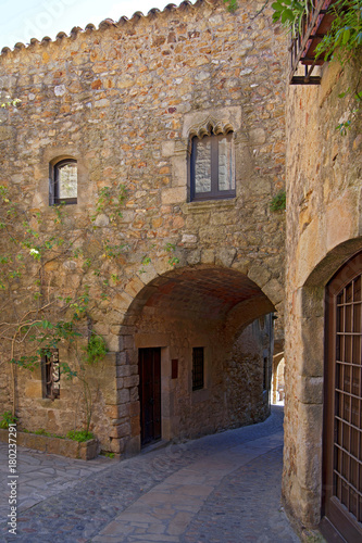 Fototapeta Naklejka Na Ścianę i Meble -  Pals pueblo tipico de temporda en Girona Cataluña España