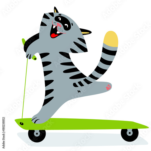 Cute funny cartoon cat on kick scooter. Feline cheerful sporty character.