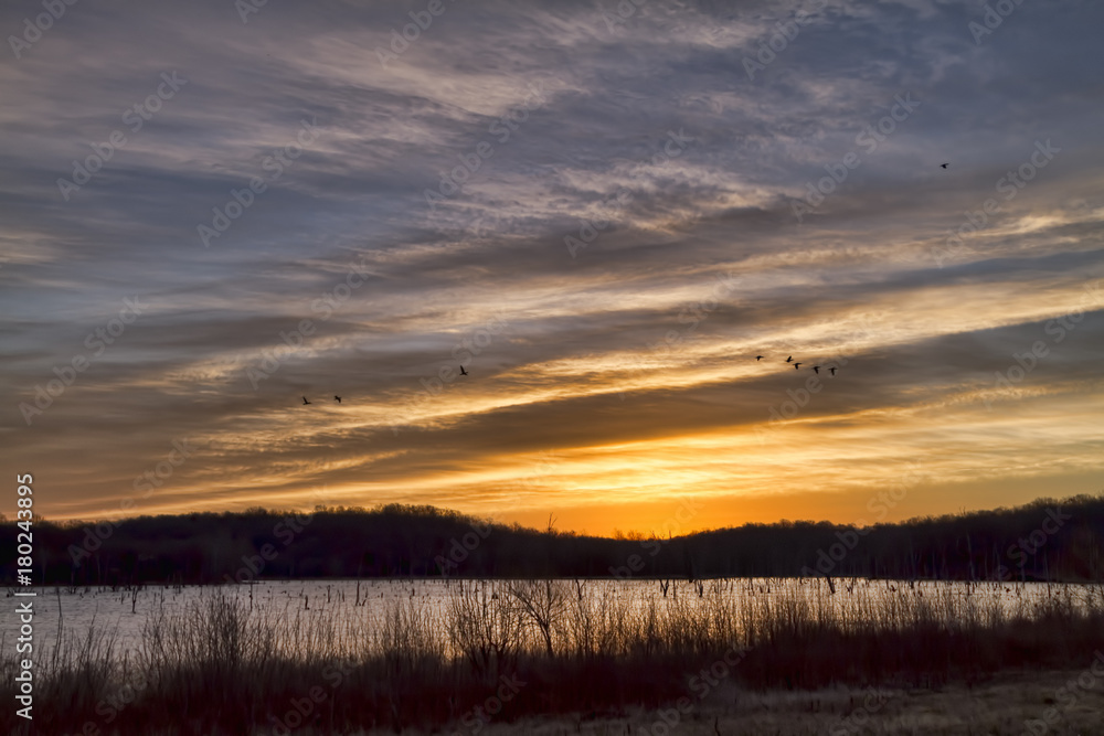 Fototapeta premium IMG_7366.jpg