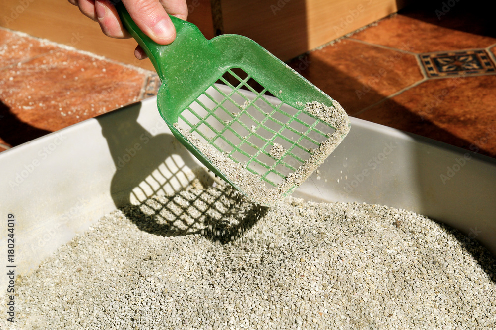 Cleaning cat litter box. Hand is cleaning of cat litter box with green