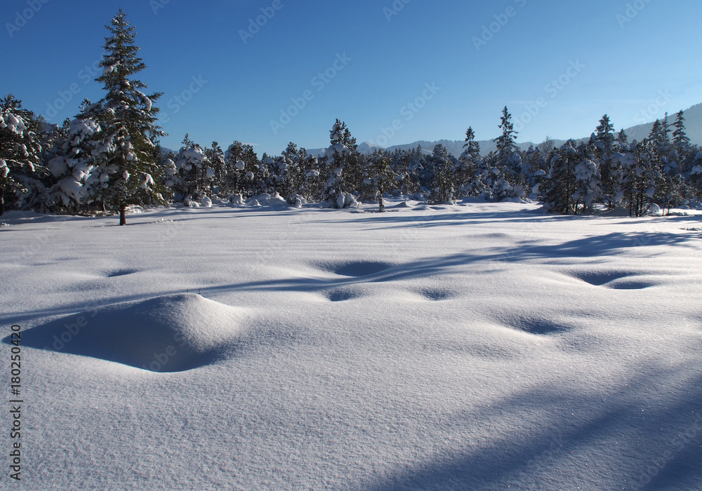 Fototapeta premium Winterlandschaft im Ammergau