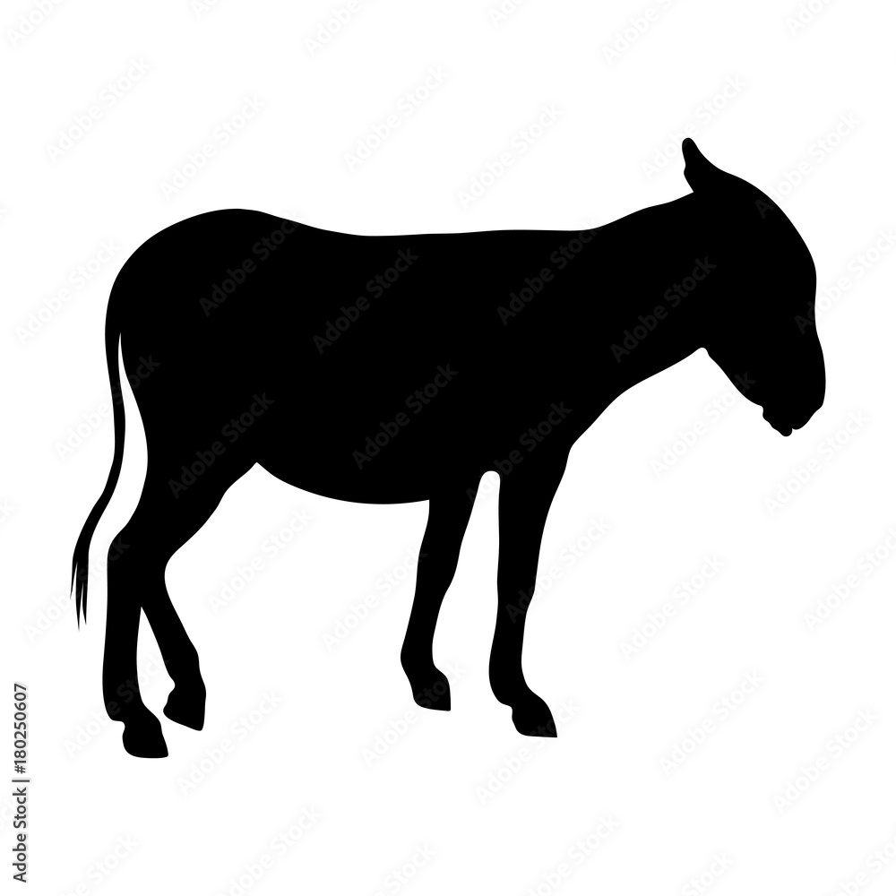 black silhouette of donkey on white background of vector illustration