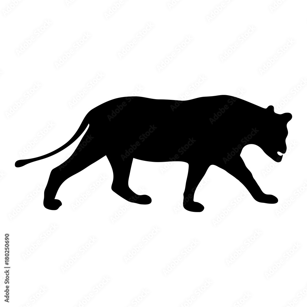 Obraz premium black silhouette of running lioness on white background of vector illustration