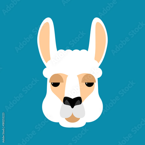 Lama Alpaca face isolated. Animal head. Vector illustration