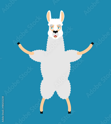 Lama Alpaca happy. Animal merryl emoji. Vector illustration photo