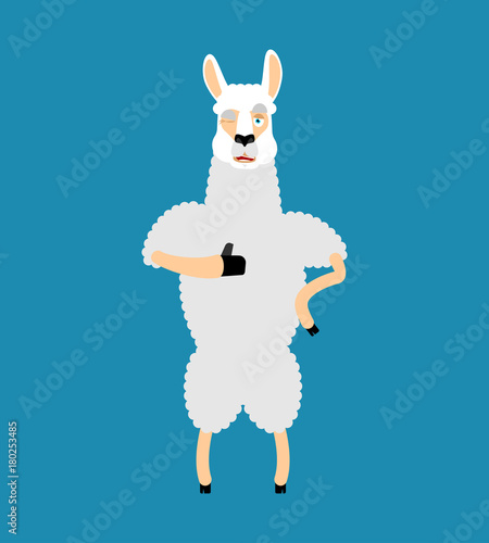 Lama Alpaca thumbs up and winks emoji. Animal happy emoji. Vector illustration
