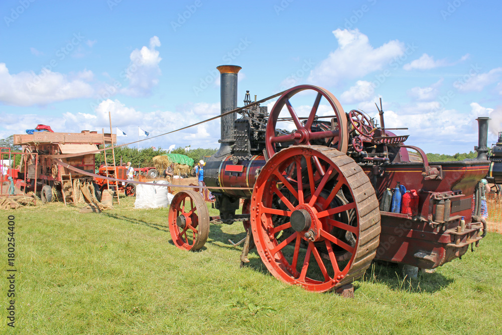 Steam Traction engine driving a thresher