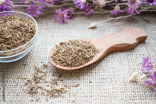 Dried Valerian roots in wooden spoon on sackcloth background. Valeriana officinalis, Caprifoliaceae in herbal medicine. Valerian Root for Anxiety and Sleep as nutritional supplement for health