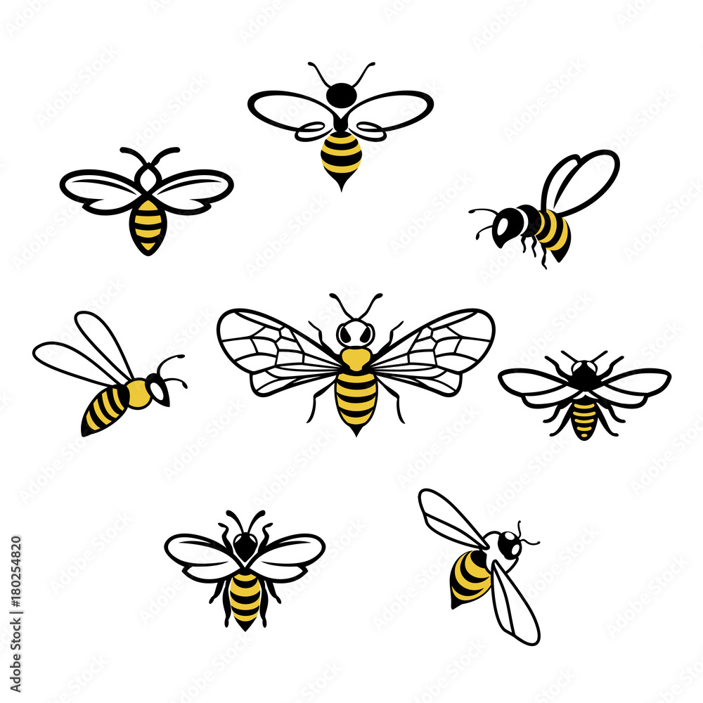 Honey bee Icons. Set of honey and bee labels for honey logo products. Isolated insect icon. Flying bee. Flat style vector illustration.