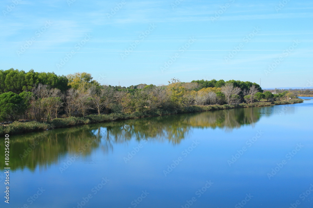Paysage sauvage de Camargue, France Paysage sauvage de Camargue, France