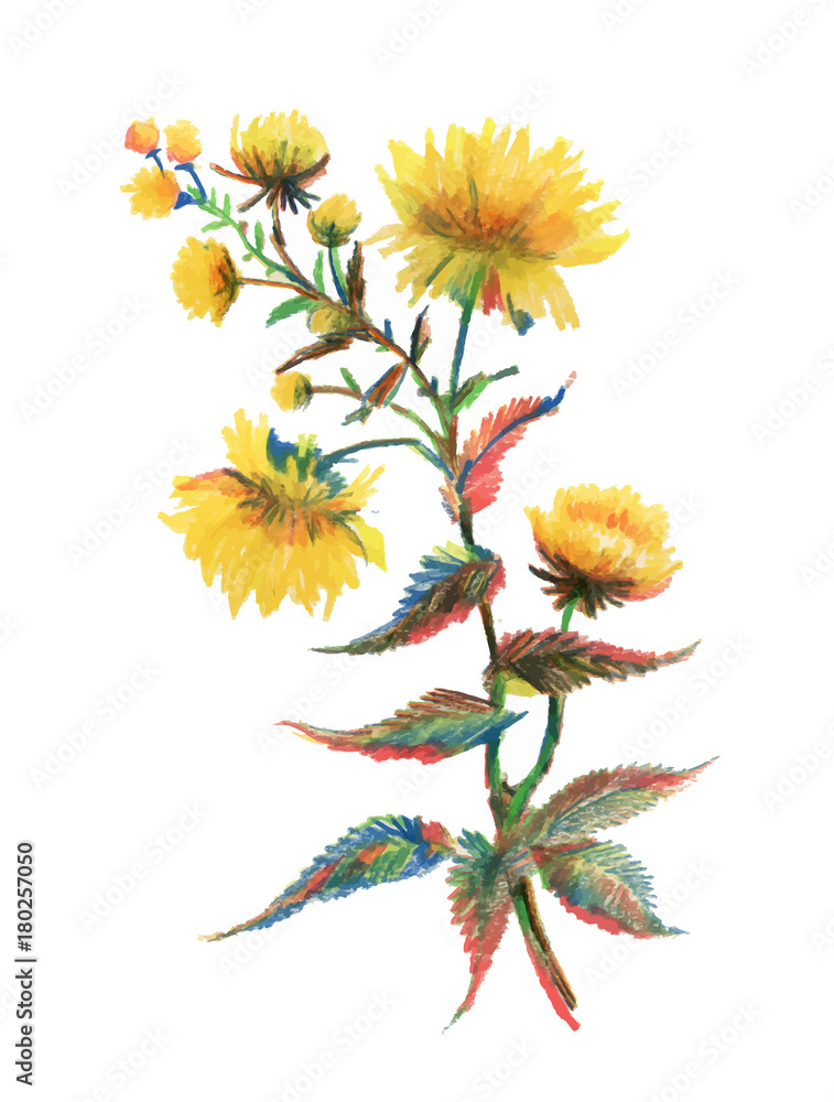 Hand drawn yellow flower isolated on white background. Hand drawn yellow flower isolated on white background.