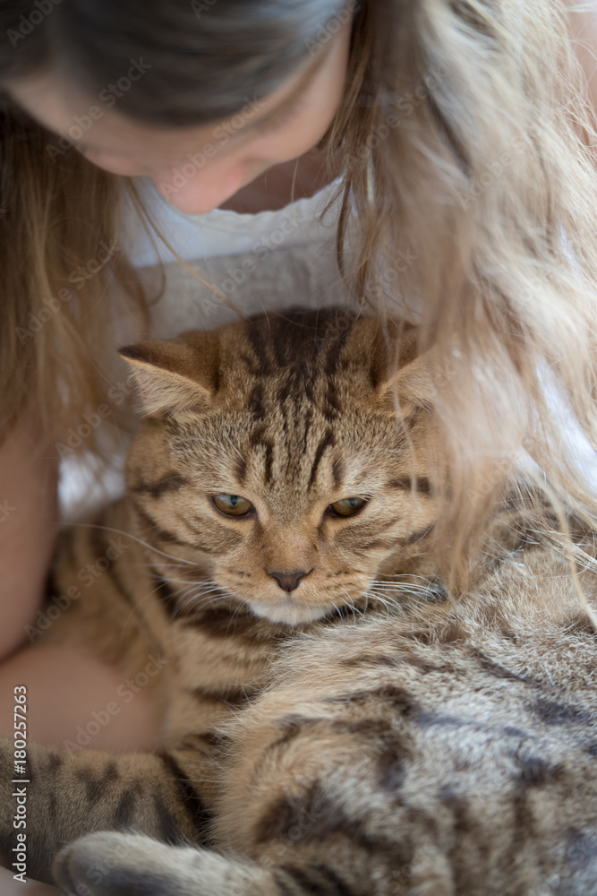 Child playing with cat Child playing with cat