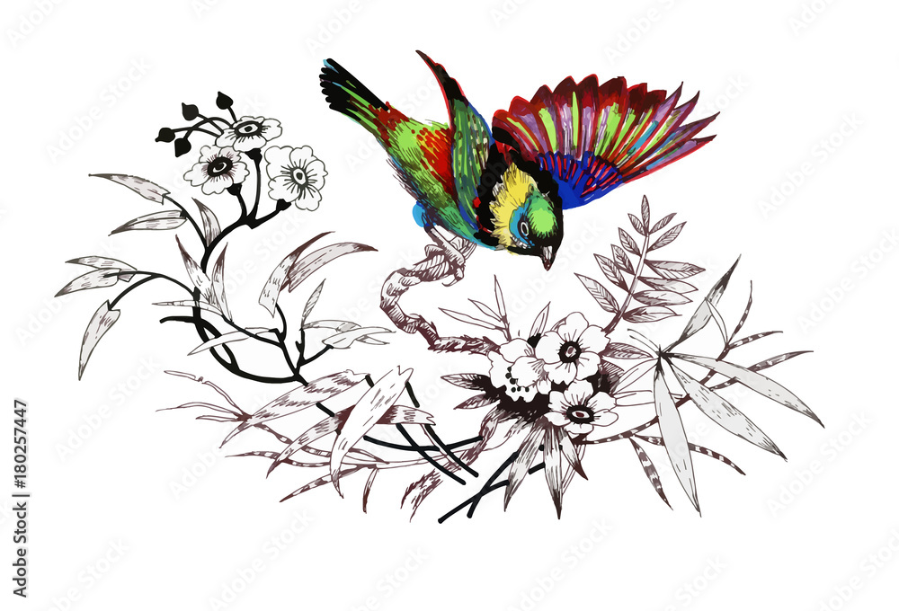 Watercolor drawing bird, artistic painting at white background, isolated hand drawn illustration.