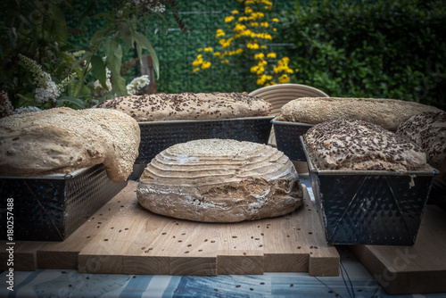 Bread in a traditional way, homemade, bake bread in wooden oven © andre