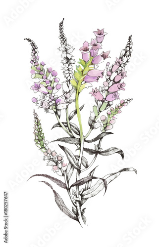 Hand drawn painting with colorful flowers on white background.