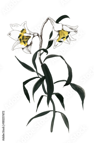 Hand drawn painting with colorful flowers on white background.