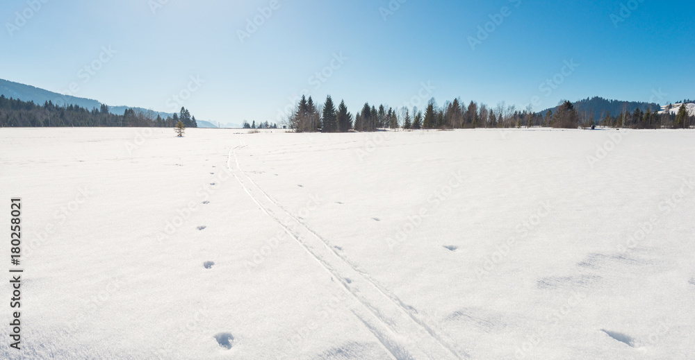 Christmas trip to European Switzerland. Winter still life. Footprints in deep snowdrifts. Snow-covered field. Christmas trip to European Switzerland. Winter still life. Footprints in deep snowdrifts. Snow-covered field.