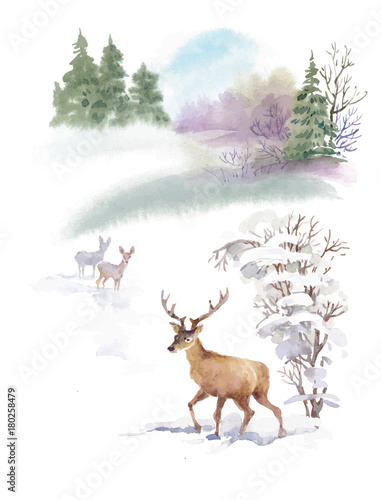 Watercolor winter landscape with deers illustration.