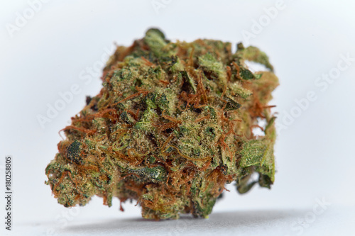 Close up of prescription medical marijuana Strawberry Cough flower sativa strain on white background