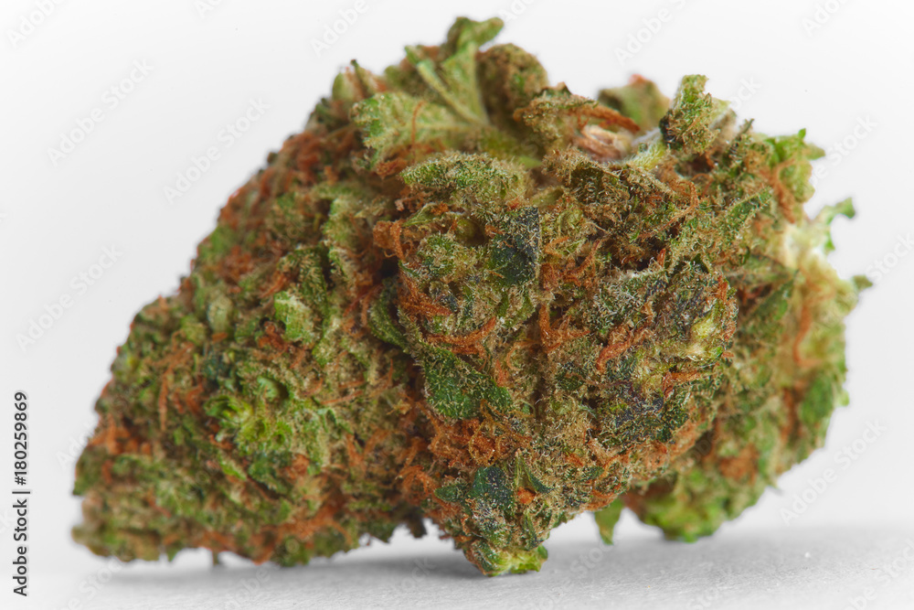 Close up of prescription medical marijuana flower Strawberry Cough sativa strain on white background Close up of prescription medical marijuana flower Strawberry Cough sativa strain on white background