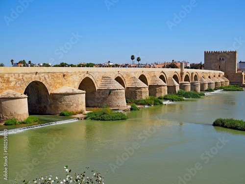 Roman bridge in Cordoba Spain © KseniaJoyg