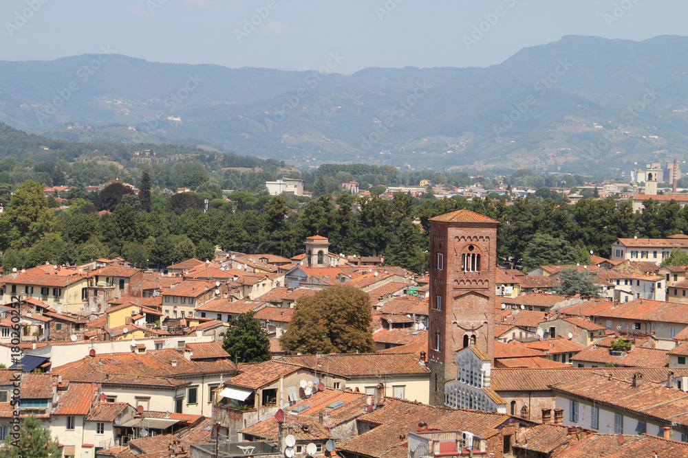 View of Lucca from the Tower of Torre Guinigi