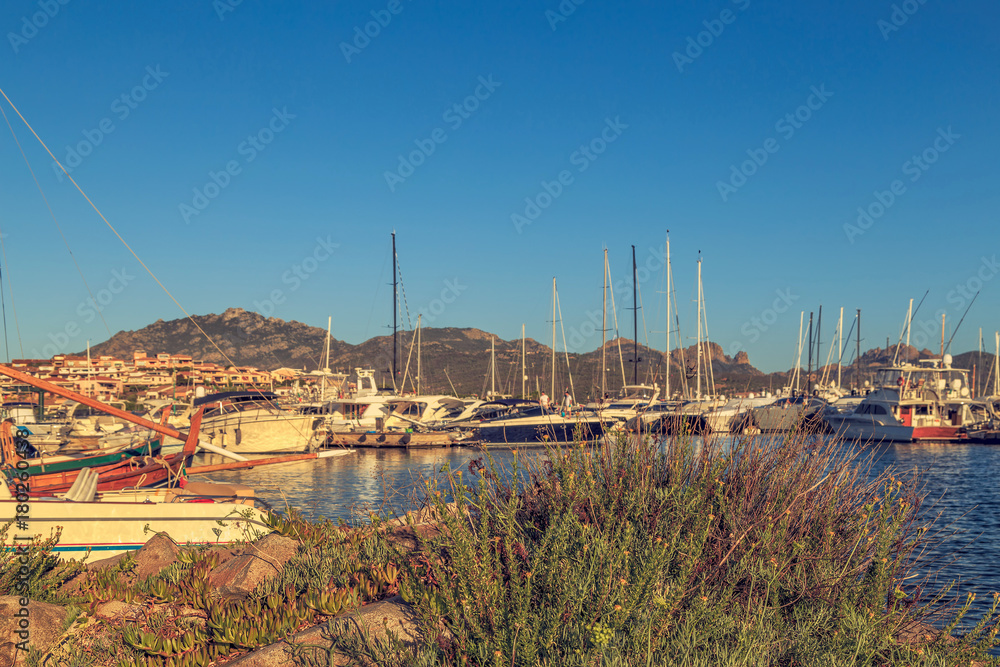 Yachts in the port.