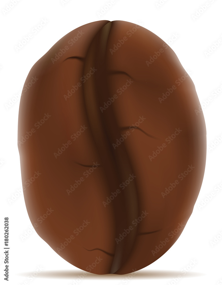coffee grain stock vector illustration coffee grain stock vector illustration