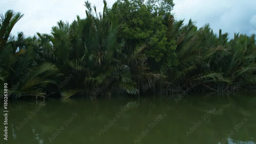 Abstract Clip of Boat Ride along Tropical River Delta Abstract Clip of Boat Ride along Tropical River Delta