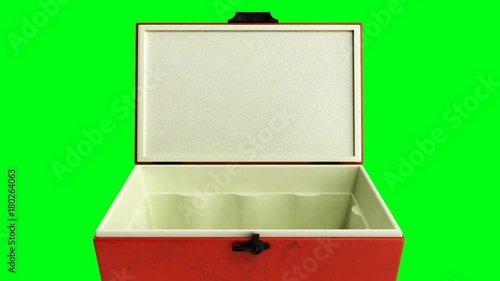 open beach refrigerator Cooler red 3d render on a green screen