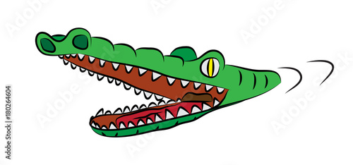 Hungry crocodile with open mouth, full of sharp teeth, swiming in watter