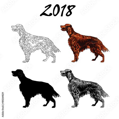 Vector illustration of an image of a dog breed of Setter. Black line, black and white and gray spots, black silhouette, color image. The inscription 2018.