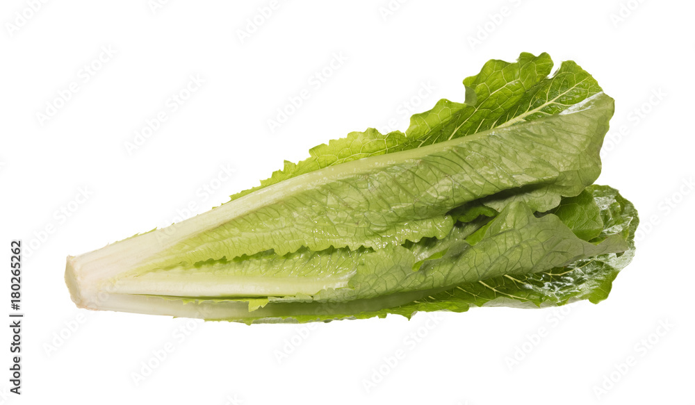 Fototapeta premium Bunch contrast green leaves of salad.