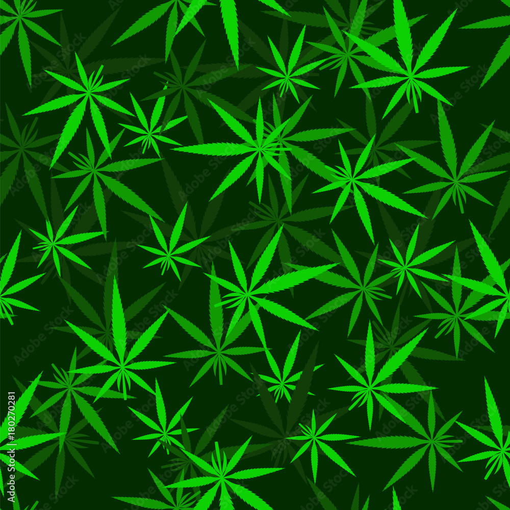 Green Cannabis Leaves