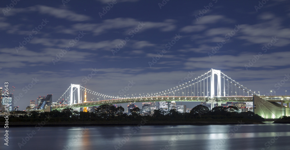 Fototapeta premium Tokyo skyline