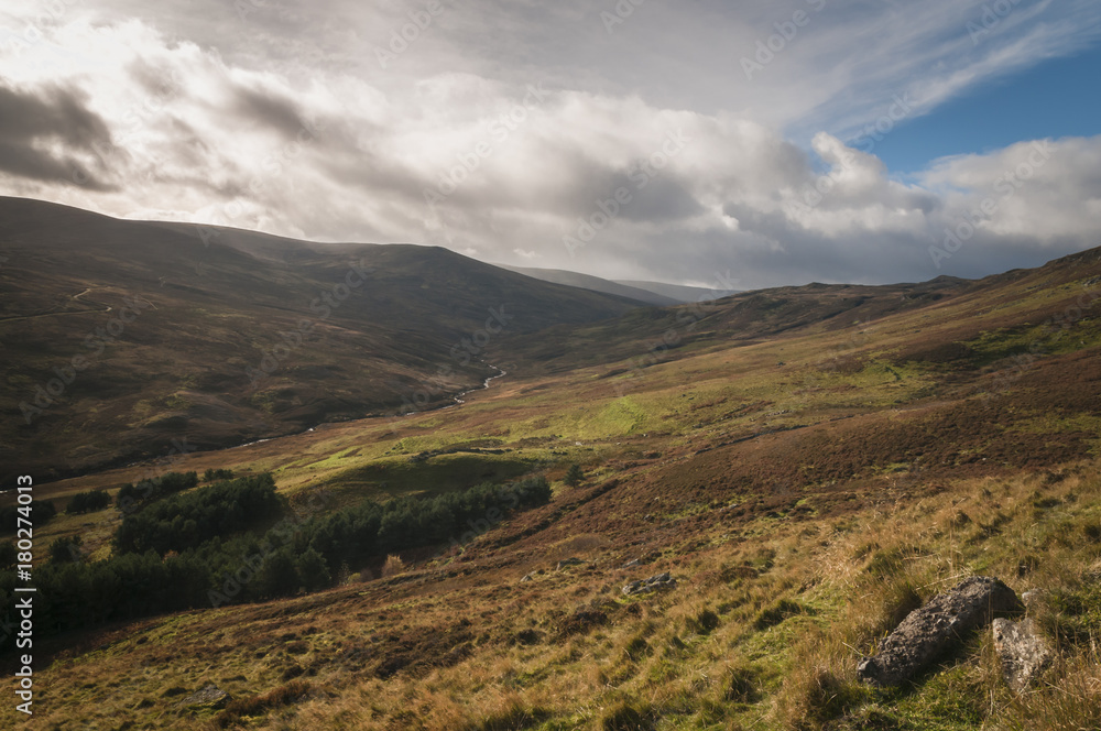 Fototapeta premium Upper Glen Quaich / Looking along Glen Quaich from above Pitmackie, Perth and Kinross, Scotland.