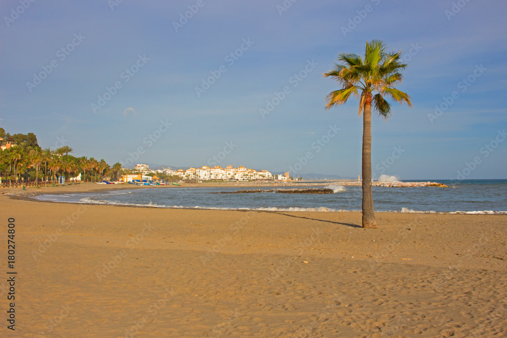 Beach. Beautiful beach and palm tree. Costa del Sol, Andalusia, Spain.