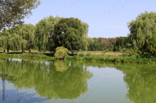 Foto River Southern Buh in near Vinnytsia, Ukraine in the summer