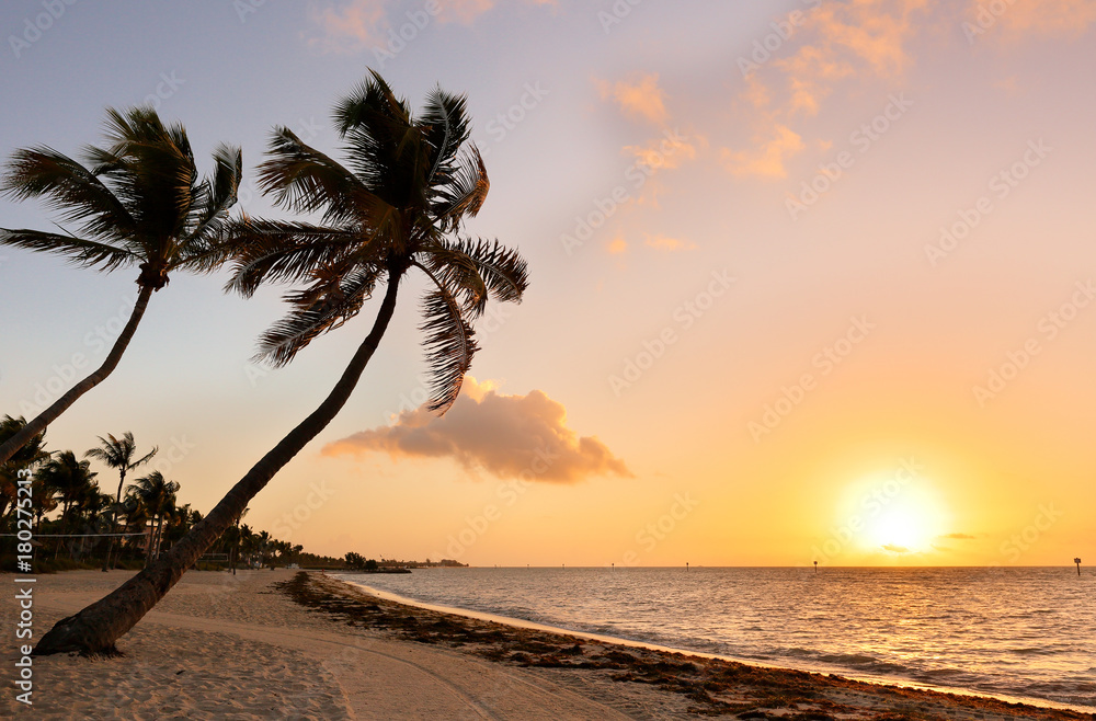 Beautiful sunrise at Smathers Beach with Palm Tree in foreground. Smathers Beach is the largest public beach in Key West, Florida, United States. It is approximately a half mile long