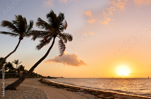 Beautiful sunrise at Smathers Beach with Palm Tree in foreground. Smathers Beach is the largest public beach in Key West, Florida, United States. It is approximately a half mile long photo