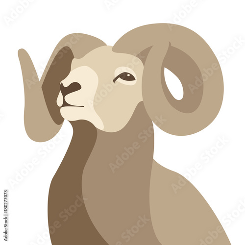 ram head face vector illustration flat style