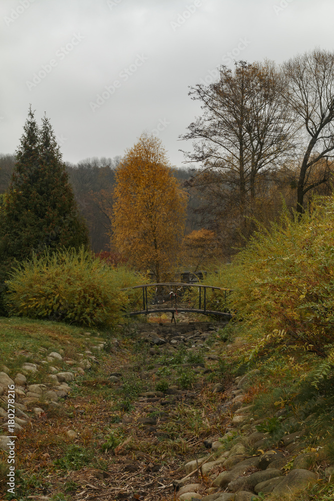 Fototapeta premium Autumn park
