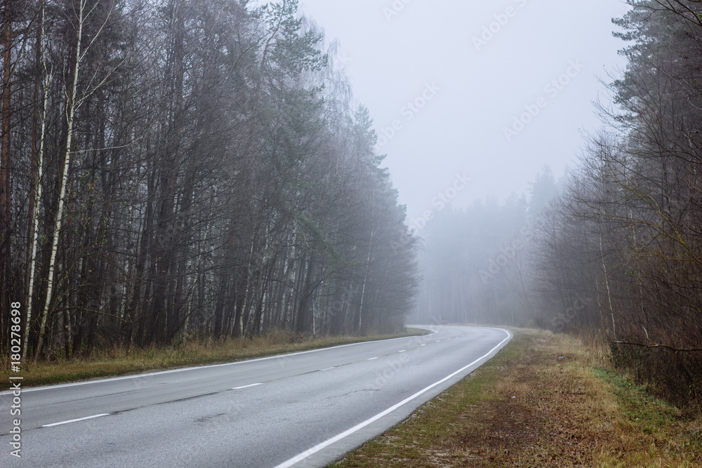 Fototapeta premium Road in the fog