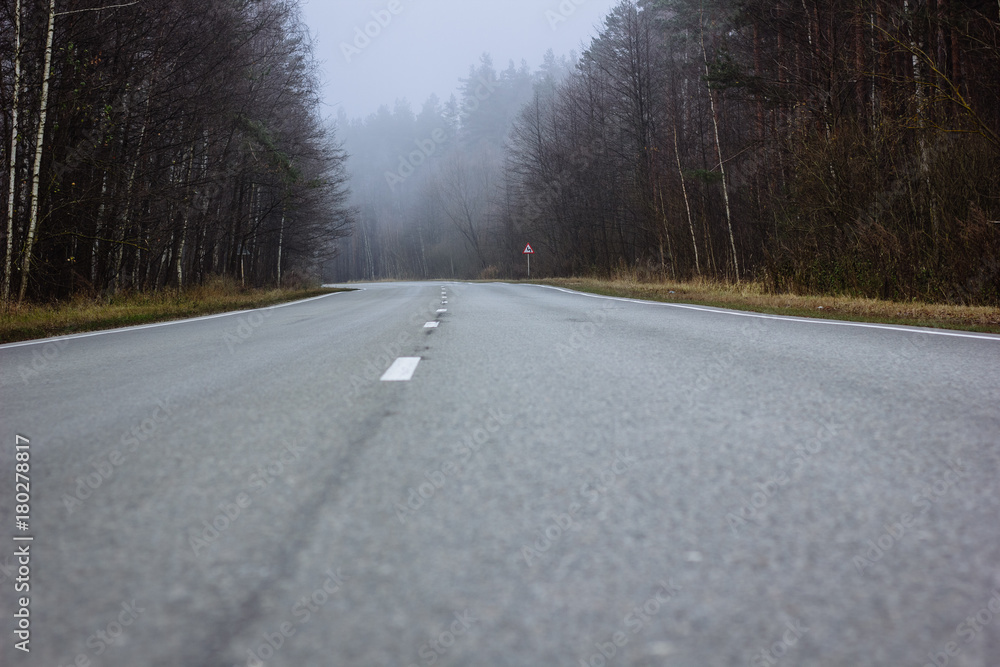 Fototapeta premium Road in the fog