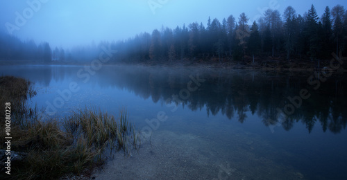 Waldsee im Nebel zur blauen Stunde