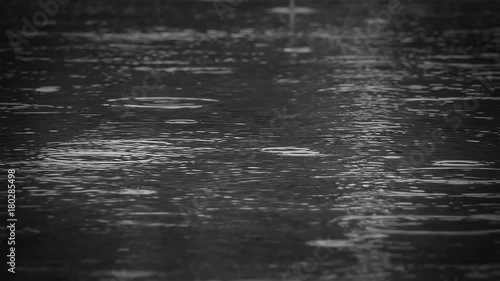 closeup rain on water surface full hd. Closeup shot of heavy rain on road 4k. Epic dramatic rain background black and white. Epic nature background with copy space. ecology and environment concept.