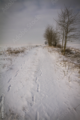 Winter landscape in the Podlasie region of Poland © teine